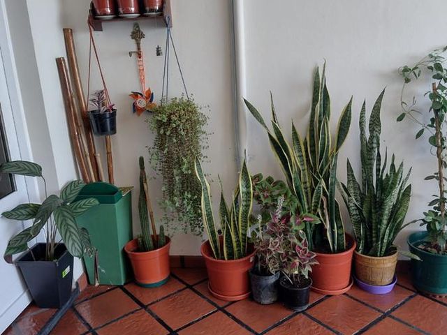 place photo 42