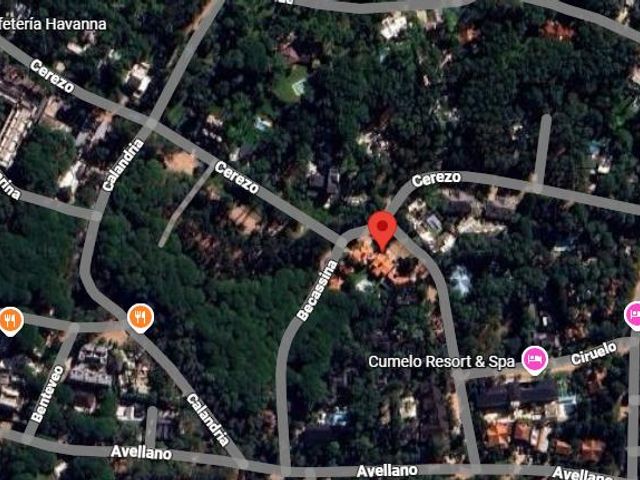 place photo 9