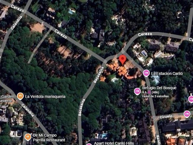 place photo 16