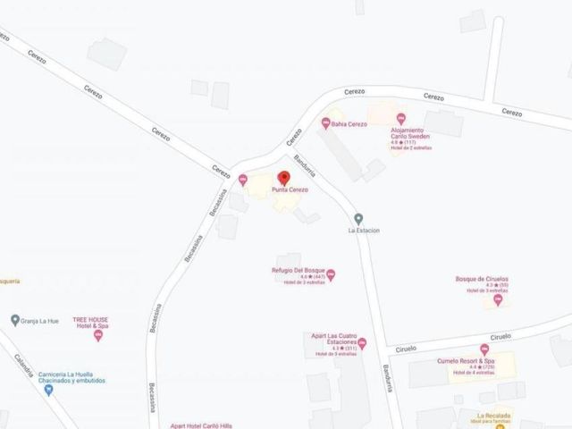 place photo 19