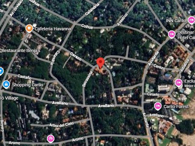 place photo 8