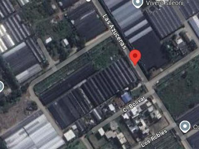 place photo 11