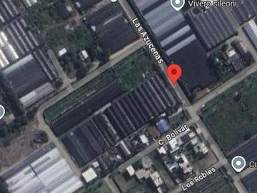 place photo 11