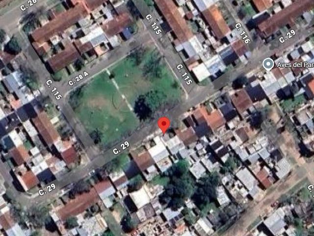 place photo 17