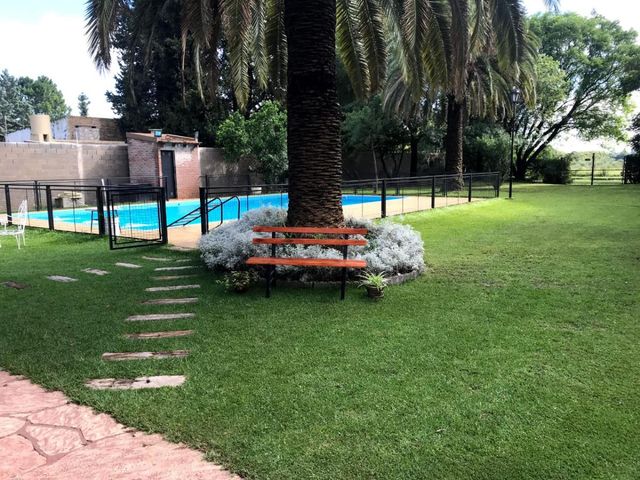 place photo 29
