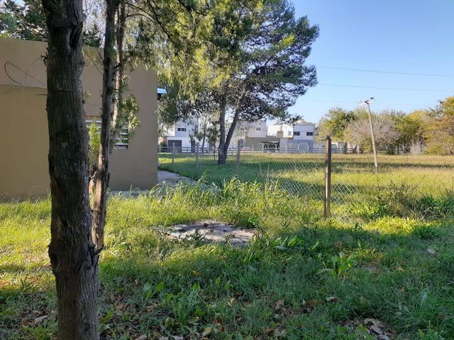 place photo 48