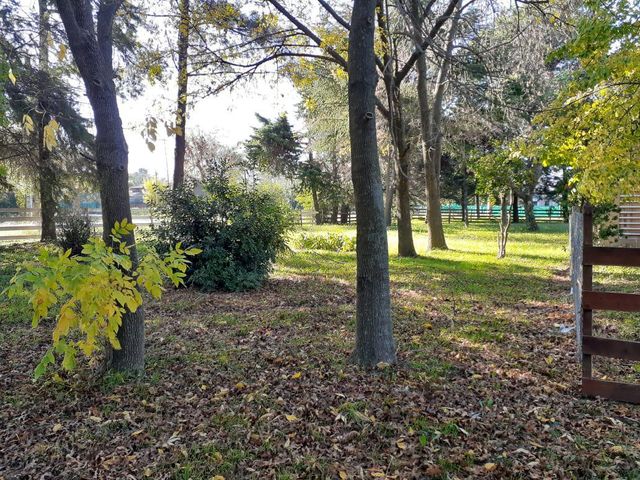 place photo 42