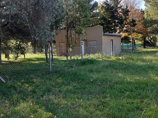 place photo 38