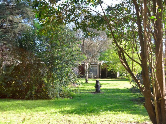 place photo 24