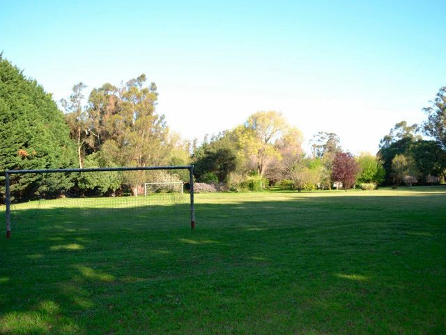 place photo 17