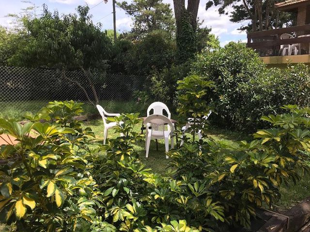 place photo 45