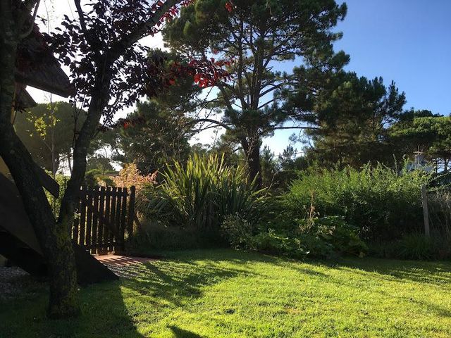 place photo 89
