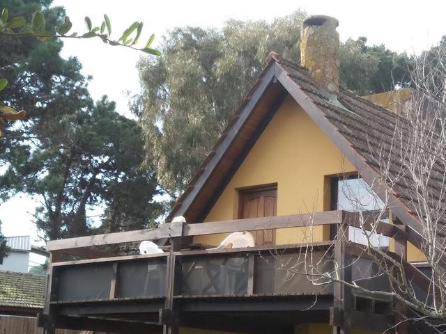 place photo 87