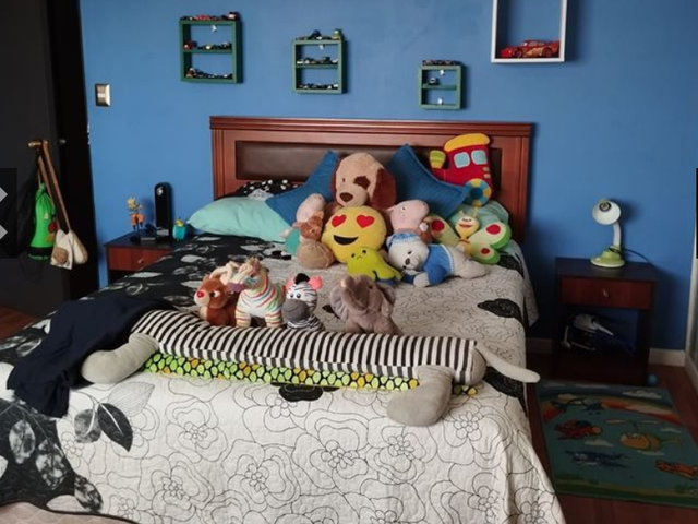 place photo 23