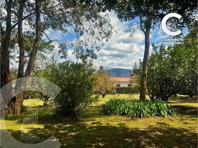 place photo 52
