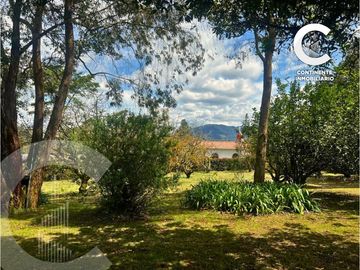 place photo 52