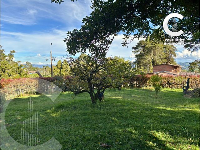 place photo 59
