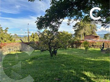 place photo 59