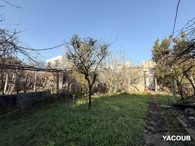 place photo 44
