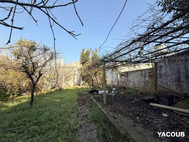 place photo 29