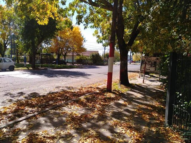 place photo 12