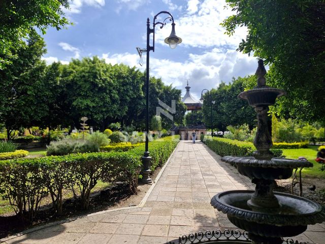 place photo 19