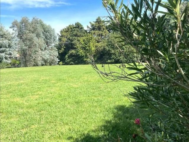 place photo 36