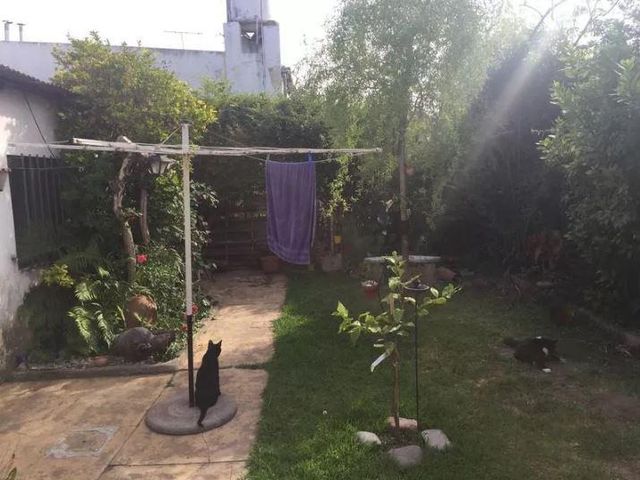 place photo 34