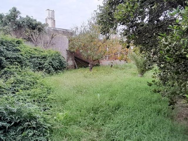 place photo 16