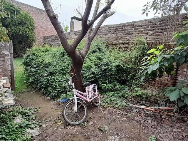 place photo 17