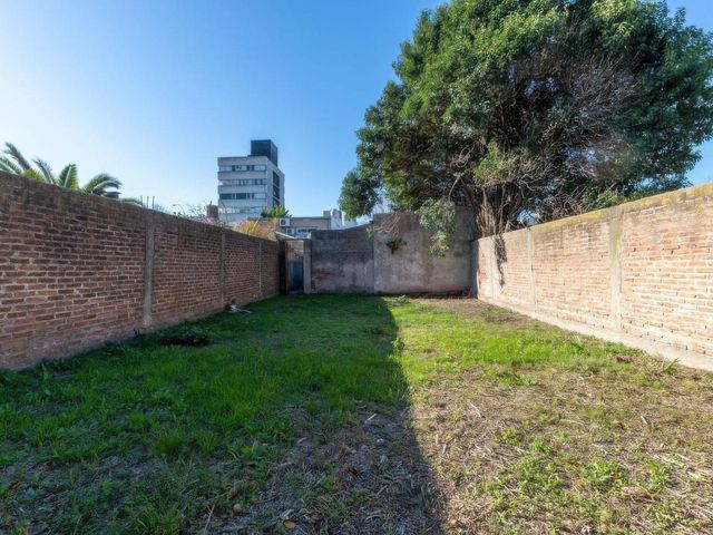 place photo 24