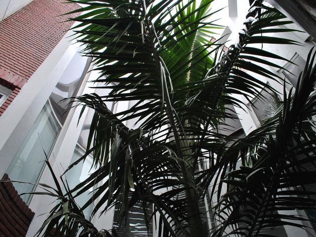 place photo 57