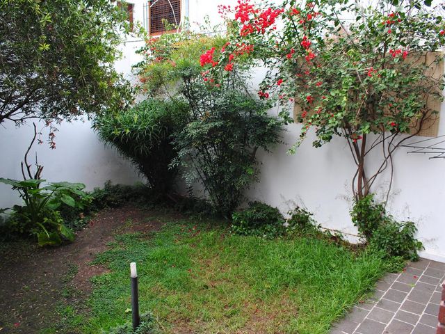 place photo 50
