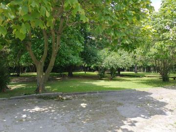 place photo 37