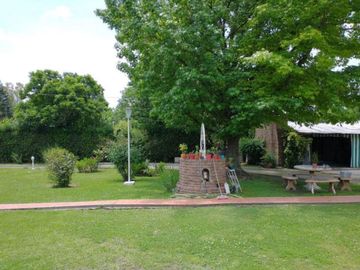 place photo 26