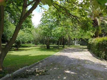 place photo 39