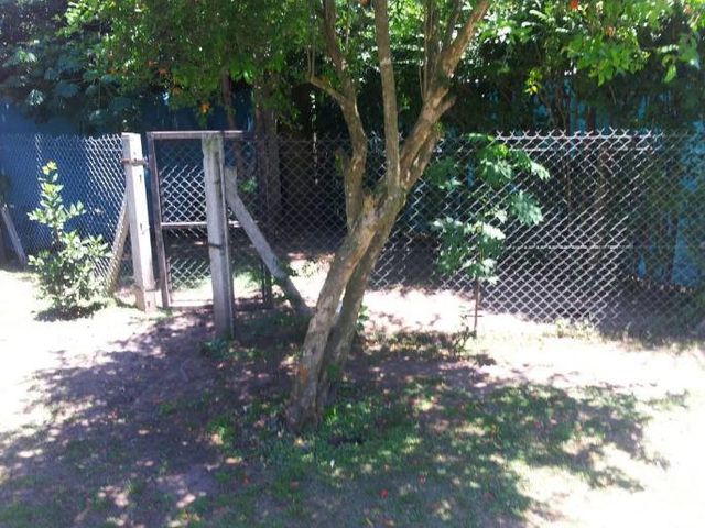 place photo 23