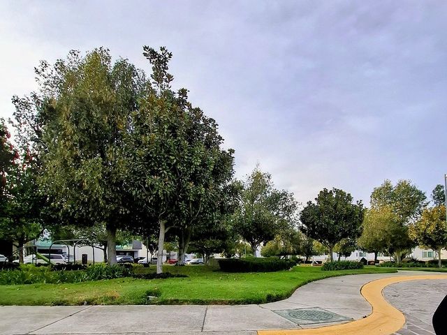 place photo 32