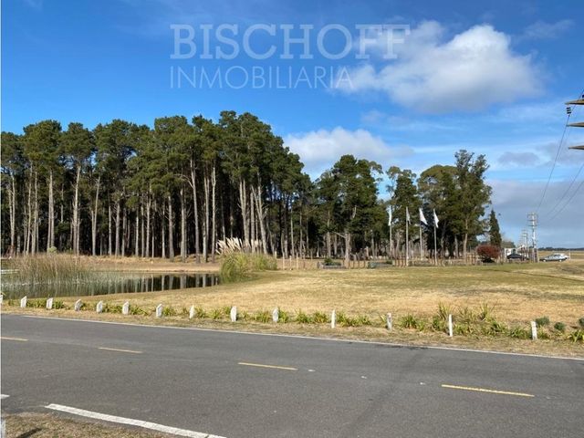 place photo 21