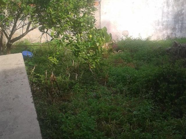 place photo 15
