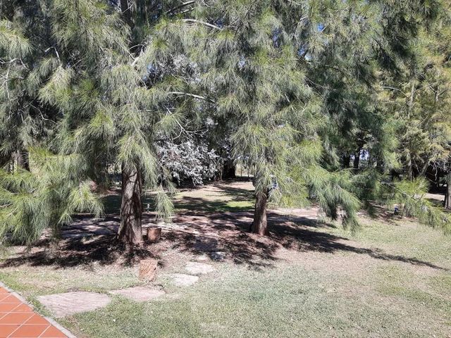 place photo 53