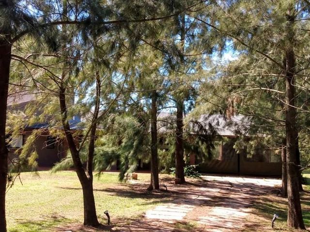 place photo 46