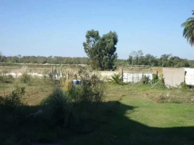 place photo 13