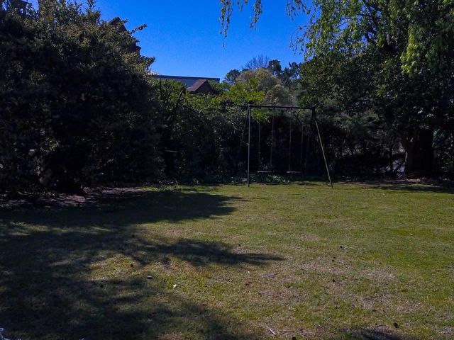 place photo 87