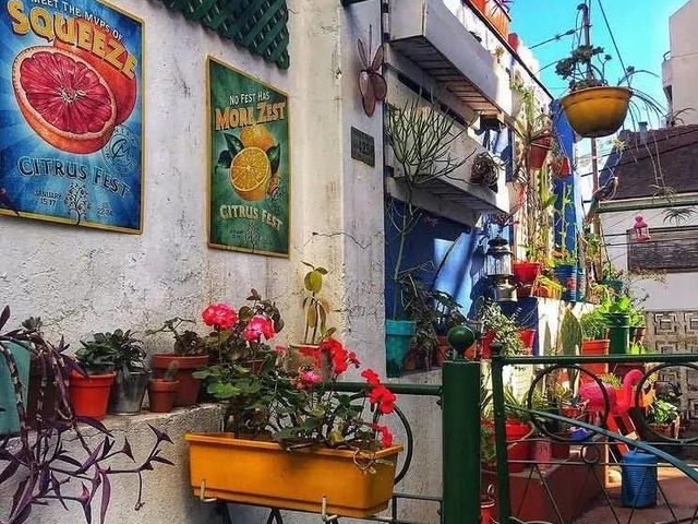 place photo 19