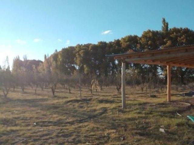 place photo 22