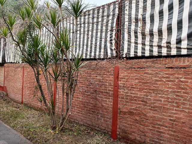 place photo 41