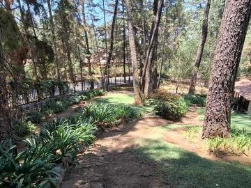 place photo 45