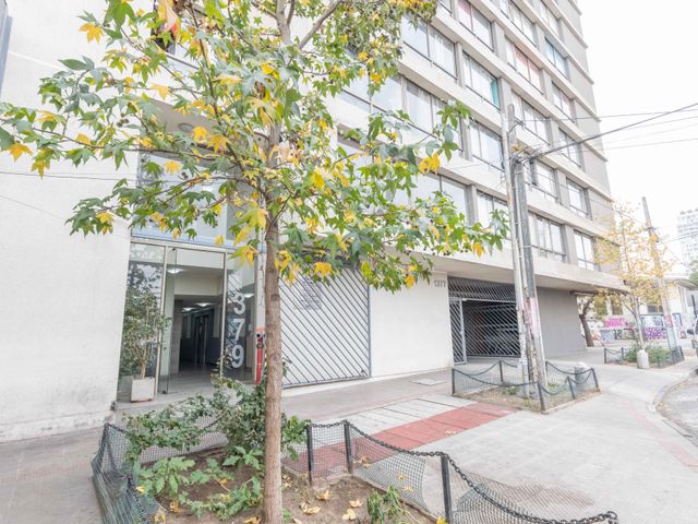 place photo 14