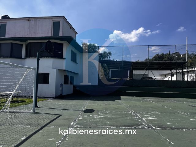 place photo 30
